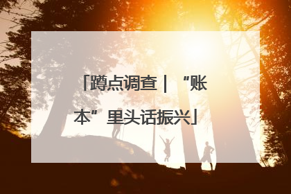 蹲点调查｜“账本”里头话振兴