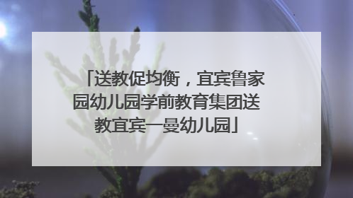 送教促均衡，宜宾鲁家园幼儿园学前教育集团送教宜宾一曼幼儿园