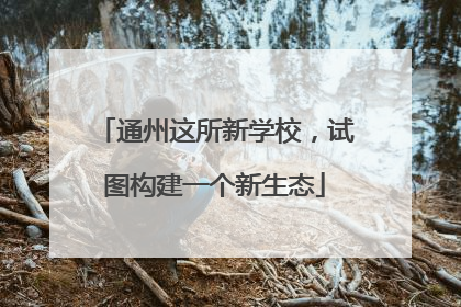 通州这所新学校，试图构建一个新生态