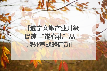 遂宁文旅产业升级提速 “遂心礼”品牌外宣战略启动
