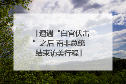 遭遇“白宫伏击”之后 南非总统结束访美行程