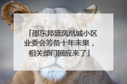 邵东邦盛凤凰城小区业委会筹备十年未果，相关部门回应来了