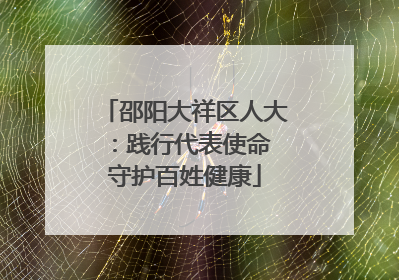 邵阳大祥区人大：践行代表使命 守护百姓健康