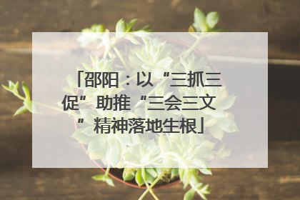 邵阳：以“三抓三促”助推“三会三文”精神落地生根