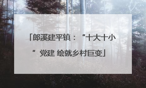 郎溪建平镇：“十大十小”党建 绘就乡村巨变