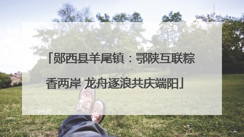 郧西县羊尾镇：鄂陕互联粽香两岸 龙舟逐浪共庆端阳
