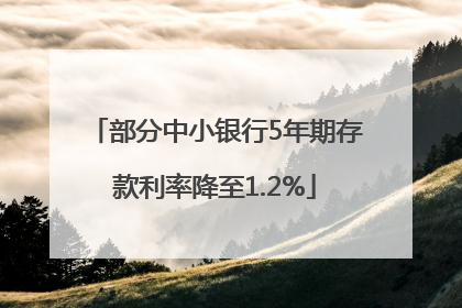 部分中小银行5年期存款利率降至1.2%
