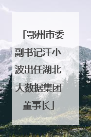 鄂州市委副书记汪小波出任湖北大数据集团董事长