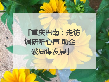 重庆巴南：走访调研听心声 助企破局谋发展