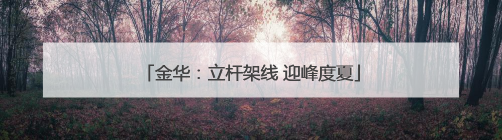 金华：立杆架线 迎峰度夏
