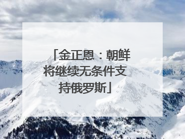 金正恩：朝鲜将继续无条件支持俄罗斯