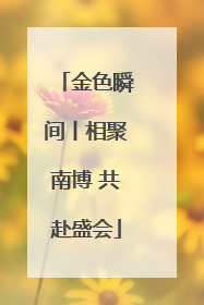 金色瞬间丨相聚南博 共赴盛会