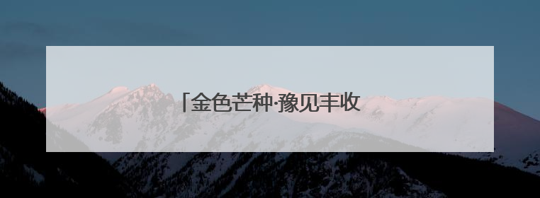 金色芒种·豫见丰收——中原麦浪翻滚时
