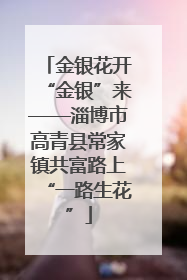 金银花开“金银”来——淄博市高青县常家镇共富路上“一路生花”