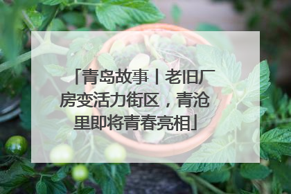 青岛故事丨老旧厂房变活力街区，青沧里即将青春亮相