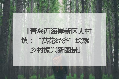 青岛西海岸新区大村镇：“赏花经济”绘就乡村振兴新图景