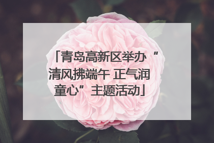 青岛高新区举办“清风拂端午 正气润童心”主题活动