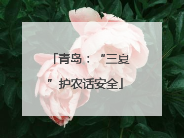 青岛：“三夏”护农话安全