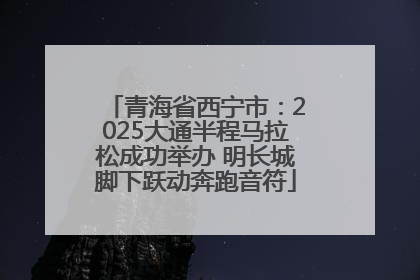 青海省西宁市：2025大通半程马拉松成功举办 明长城脚下跃动奔跑音符