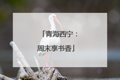 青海西宁：周末享书香