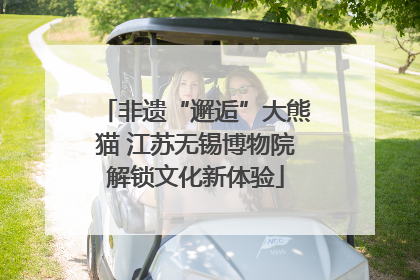 非遗“邂逅”大熊猫 江苏无锡博物院解锁文化新体验