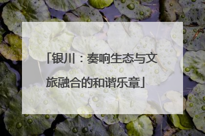 银川：奏响生态与文旅融合的和谐乐章