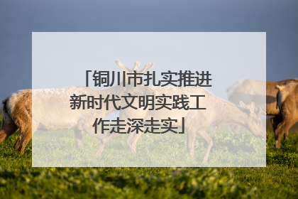铜川市扎实推进新时代文明实践工作走深走实