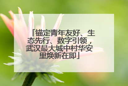 锚定青年友好、生态先行、数字引领，武汉最大城中村华安里焕新在即