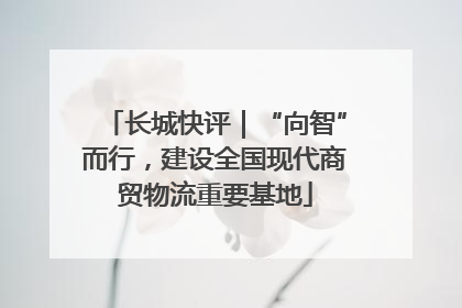 长城快评｜“向智”而行，建设全国现代商贸物流重要基地