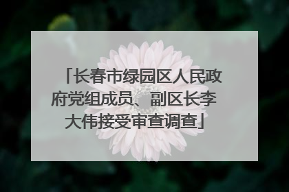 长春市绿园区人民政府党组成员、副区长李大伟接受审查调查