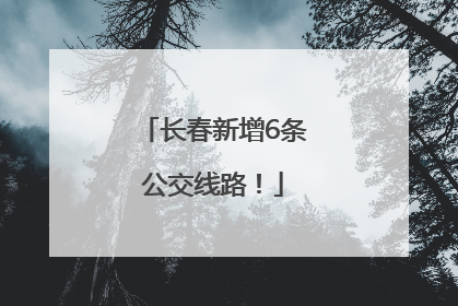 长春新增6条公交线路！