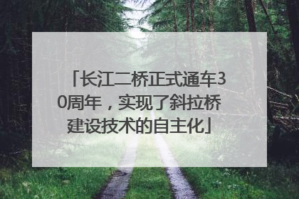 长江二桥正式通车30周年，实现了斜拉桥建设技术的自主化