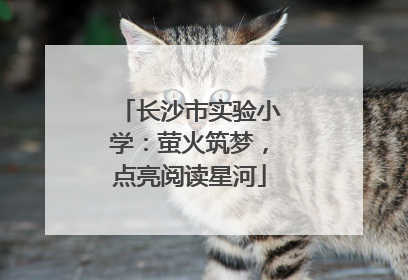 长沙市实验小学：萤火筑梦，点亮阅读星河
