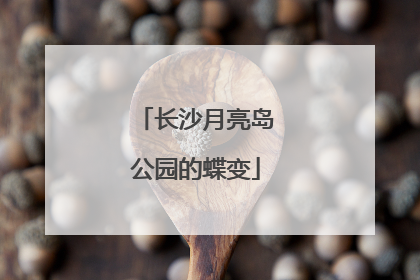 长沙月亮岛公园的蝶变