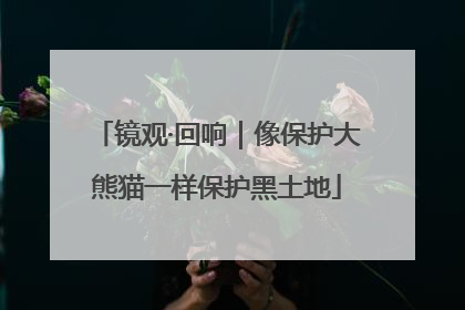 镜观·回响｜像保护大熊猫一样保护黑土地