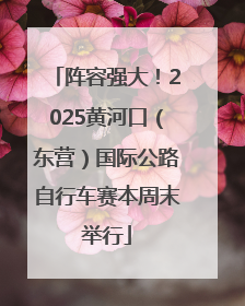阵容强大！2025黄河口（东营）国际公路自行车赛本周末举行