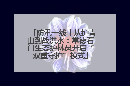 防汛一线丨从护青山到战洪水：常德石门生态护林员开启“双重守护”模式