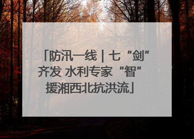 防汛一线｜七“剑”齐发 水利专家“智”援湘西北抗洪流