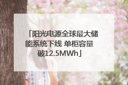 阳光电源全球最大储能系统下线 单柜容量破12.5MWh
