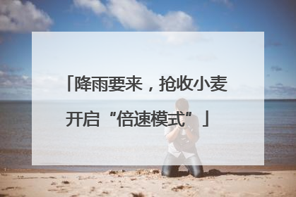 降雨要来，抢收小麦开启“倍速模式”