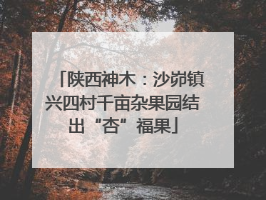 陕西神木：沙峁镇兴四村千亩杂果园结出“杏”福果