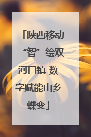 陕西移动“智”绘双河口镇 数字赋能山乡蝶变