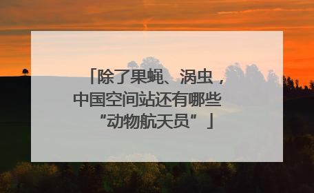除了果蝇、涡虫，中国空间站还有哪些“动物航天员”