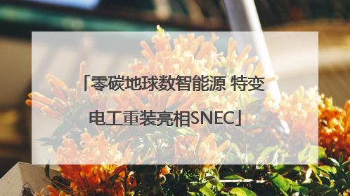 零碳地球数智能源 特变电工重装亮相SNEC