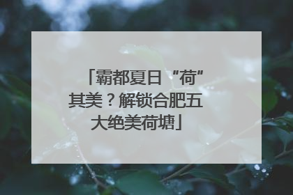 霸都夏日“荷”其美？解锁合肥五大绝美荷塘