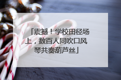 震撼！学校田径场上，数百人同吹口风琴共奏葫芦丝