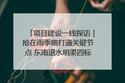 项目建设一线探访｜抢在雨季前打通关键节点 东南退水明渠四标段项目顺利完工