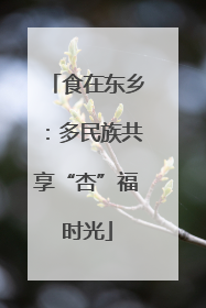 食在东乡：多民族共享“杏”福时光