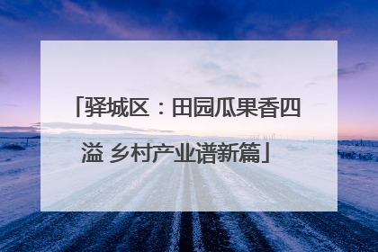 驿城区：田园瓜果香四溢 乡村产业谱新篇