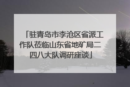 驻青岛市李沧区省派工作队莅临山东省地矿局二四八大队调研座谈